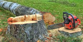 Best Hazardous Tree Removal  in Pottsgrove, PA