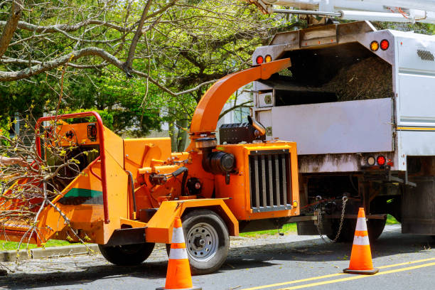 Best Storm Damage Tree Cleanup  in Pottsgrove, PA