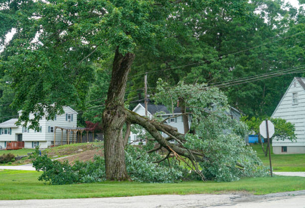 Best Tree Mulching Services  in Pottsgrove, PA